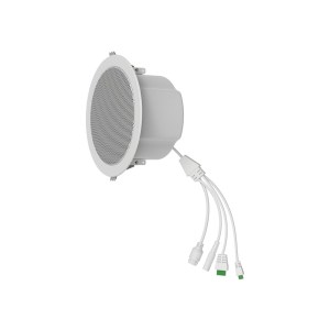 A201 Haut-parleur De Plafond Professionnel Pour Diffusion Audio Ip